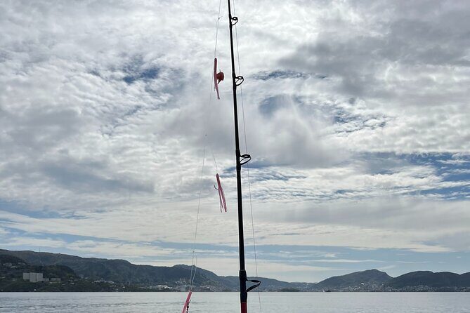 Fjord Sea Safari with Fishing from Bergen - What You’ll See (Even If the Fish Aren’t Cooperative)