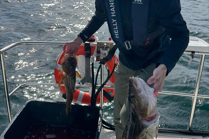 Fjord Sea Safari with Fishing from Bergen - Where You Meet: Strandkaien 3 in Bergen