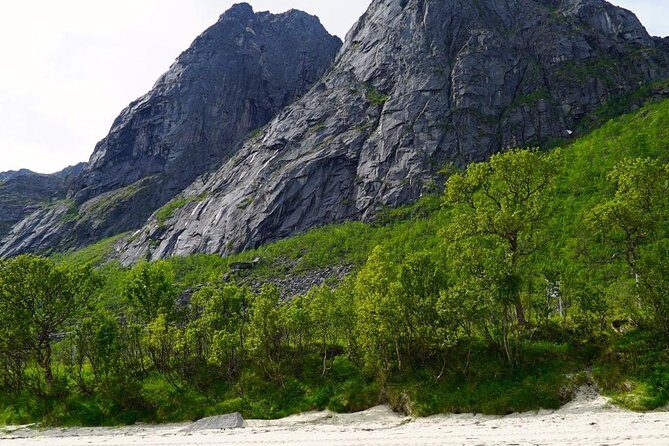 Fjord Sightseeing - Eco friendly Tesla Model X - Aurora Borealis Chances: How This Tour Sets You Up