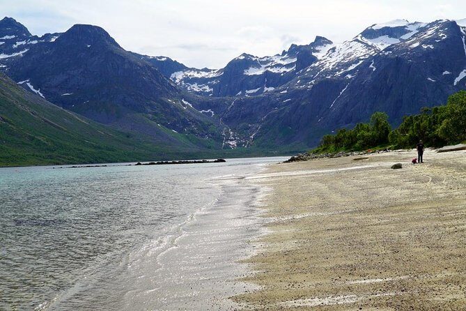 Fjord Sightseeing - Eco friendly Tesla Model X - Why a Tesla Model X Makes Fjord Sightseeing Feel Easier