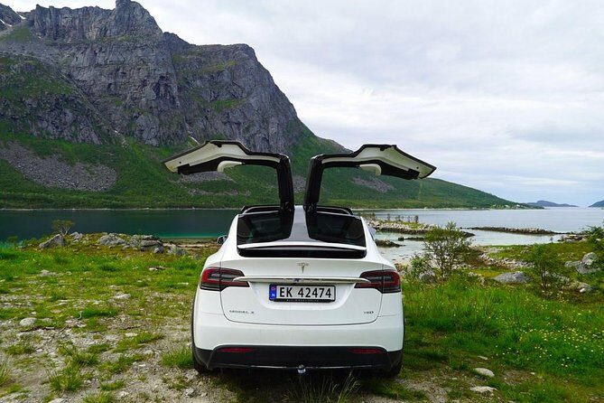 Fjord Sightseeing - Eco friendly Tesla Model X - What It’s Like With a Real Host (Kurt Arild Larsen)
