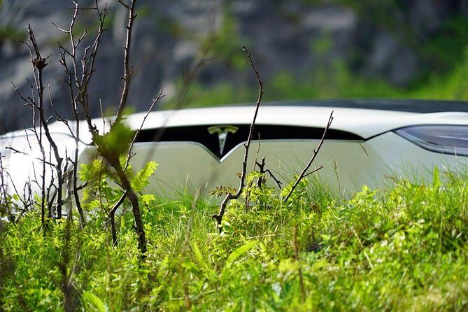 Fjord Sightseeing - Eco friendly Tesla Model X - The Included Cafe Break: Coffee, Tea, and Cake