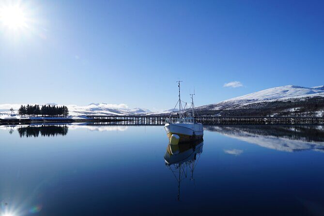 Fjordcruise - Luxury Yacht Arctic Queen - Sørbotn slowdown: when the fjord gets quiet on purpose