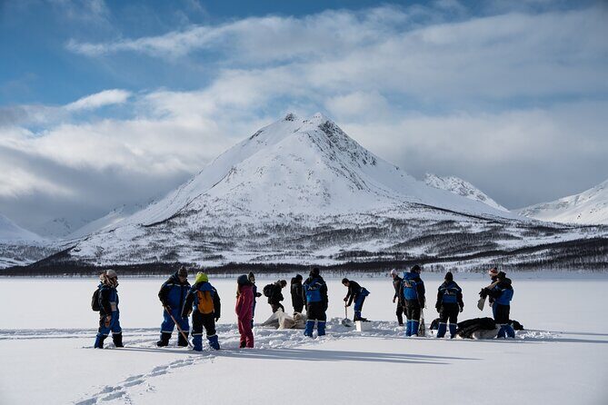 Fjords and Alps Snowshoe Tour in Lyngen Alps - Why the Lyngen Alps snowshoe day feels special from Tromsø