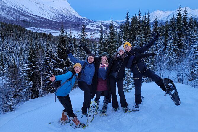 Fjords and Alps Snowshoe Tour in Lyngen Alps - Wildlife spotting the honest way: animals or footprints