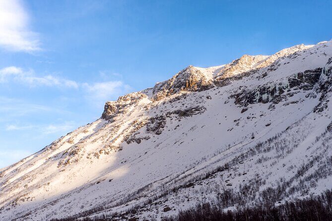 Fjords and Alps Snowshoe Tour in Lyngen Alps - Walking rounds: rest stops, snow activities, and photo time