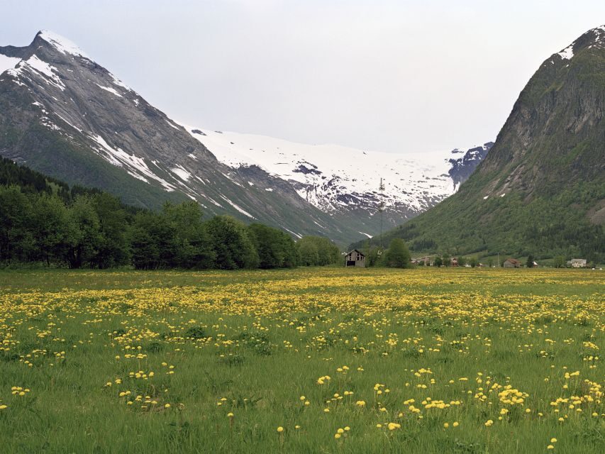 Fjords: Private Trip with Train and Cruise Ride - Key highlights worth caring about