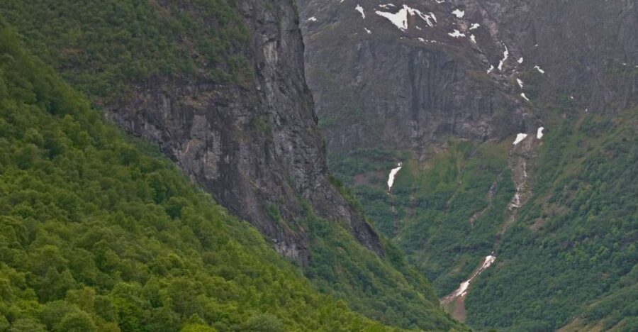 Fjords: Private Trip with Train and Cruise Ride - Bergen Railway Segment to Flåm: Riding Into the Scenic Payoff