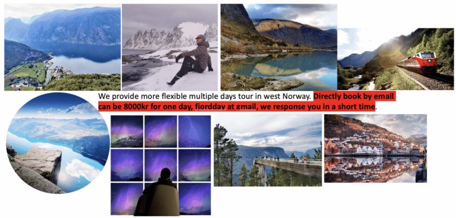 Flåm Flexible Tour with Stegastein, cruise and train include - Key things I’d plan around