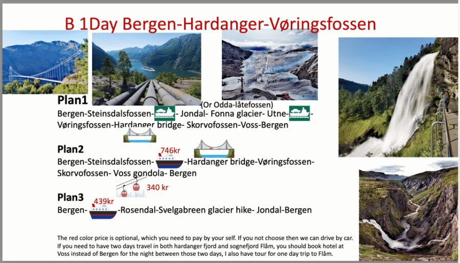 Flåm Flexible Tour with Stegastein, cruise and train include - Flåm Railway: The Train Ride You Plan For