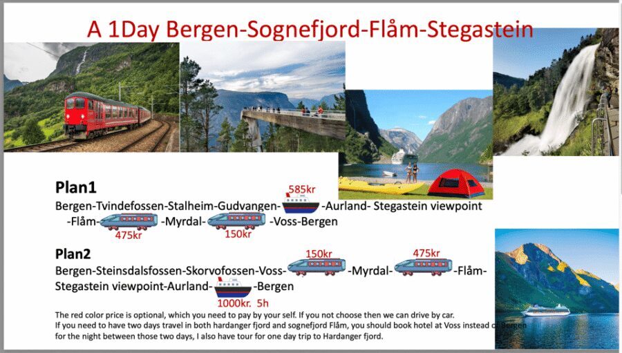 Flåm Flexible Tour with Stegastein, cruise and train include - Stegastein Viewpoint, Summer Crowds, and Time-Saving Choices