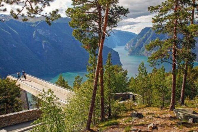 Flam: The Spectacular Stegastein Viewpoint Tour (Small Group) - Group Size and Vehicle Comfort on a Steep, Narrow Route