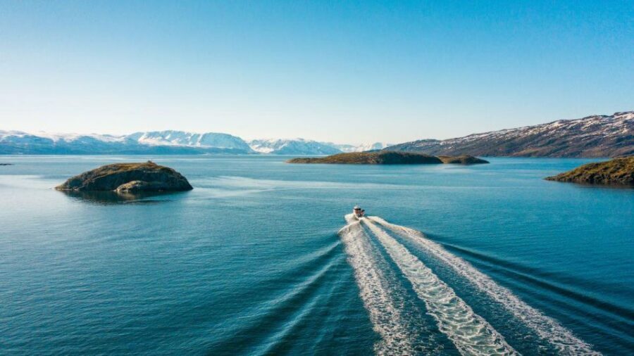 From Alta: Adventure Cruise in Alta Fjord - Key highlights worth planning around