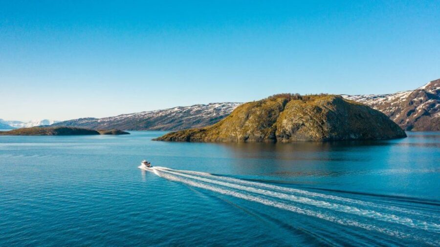 From Alta: Adventure Cruise in Alta Fjord - Wildlife and birdwatching on the water (what to expect, not what to force)