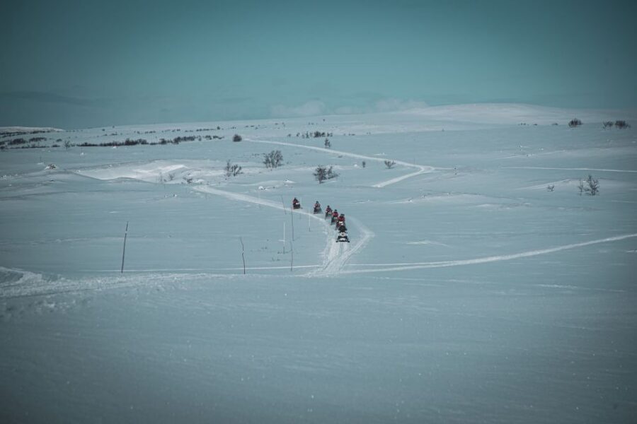 From Alta: Daytime Snowmobile Adventure - The 4-Hour Plan: Lodge, Postal Road, and Wide-Open Beskades