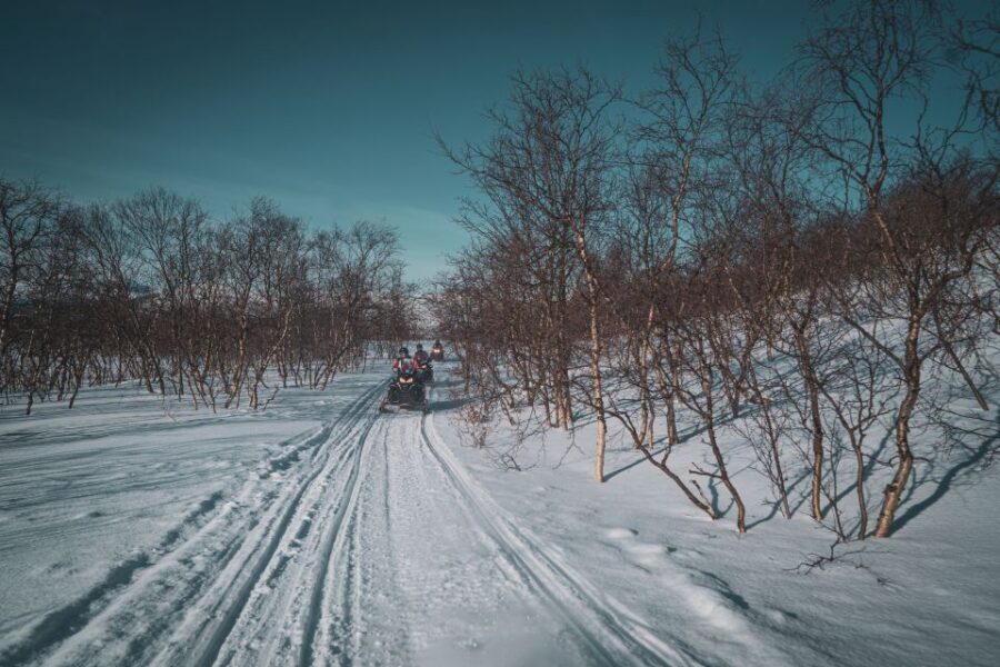 From Alta: Daytime Snowmobile Adventure - Price and Value: What $296 Buys You in Real Terms