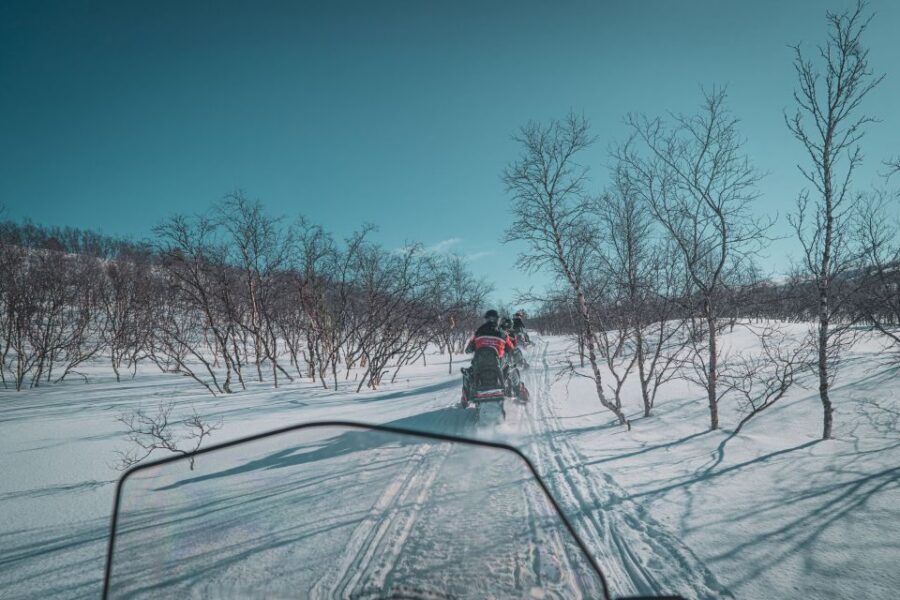 From Alta: Daytime Snowmobile Adventure - Who This Tour Fits (and Who Should Skip It)