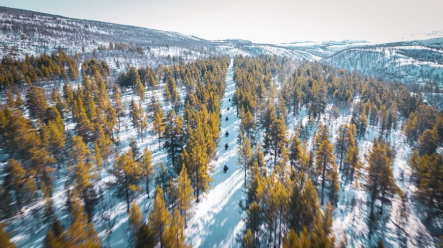 From Alta: Daytime Snowmobile Adventure - The Most Common Trade-Offs to Plan For