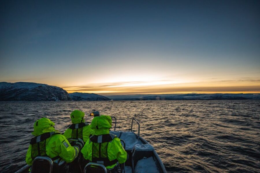 From Alta: Small Group Whale Watching by RIB - Small-group RIB format: fast searching, controlled closeness