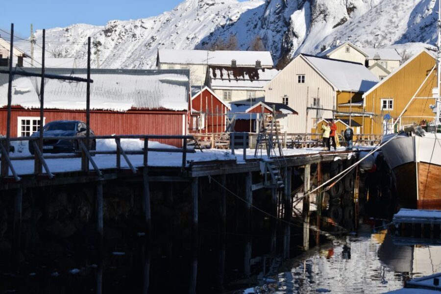 From Leknes City/Port: Private Lofoten Tour with Transfer - Who should book this private Lofoten tour from Leknes?