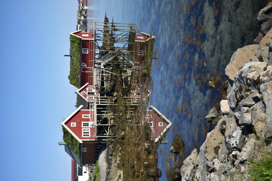 From Leknes City/Port: Private Lofoten Tour with Transfer - Andrea’s guiding style: history and nature, tuned to what you want