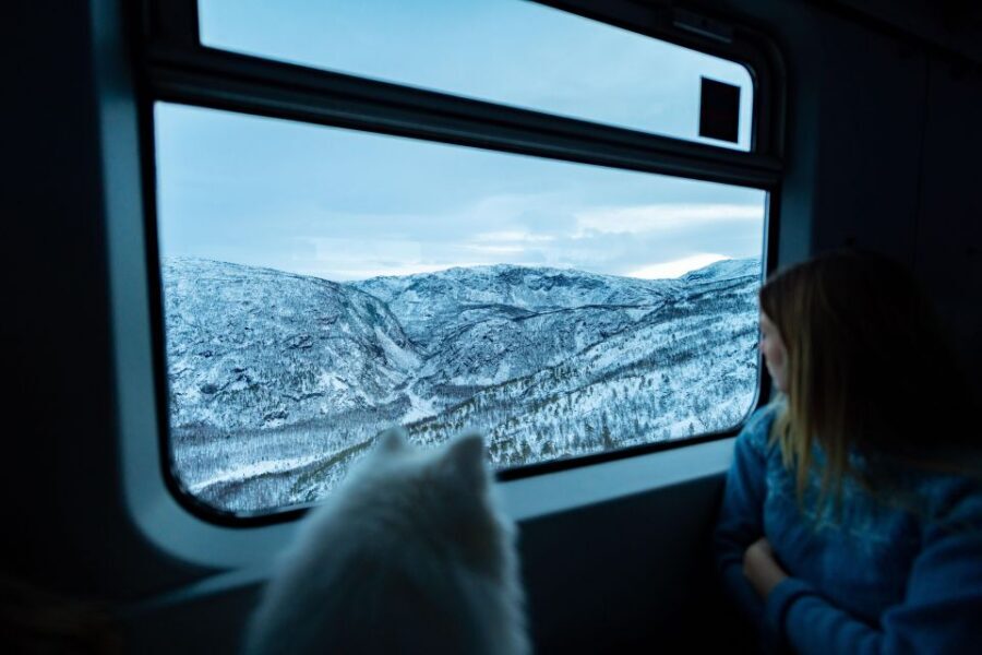 From Narvik: Roundtrip Arctic Train Ride on Ofoten Railway - Seat strategy: left side views going out, then switching back