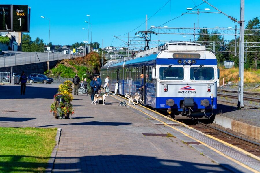 From Narvik: Roundtrip Arctic Train Ride on Ofoten Railway - Food and drinks: what’s on board vs what you should pack
