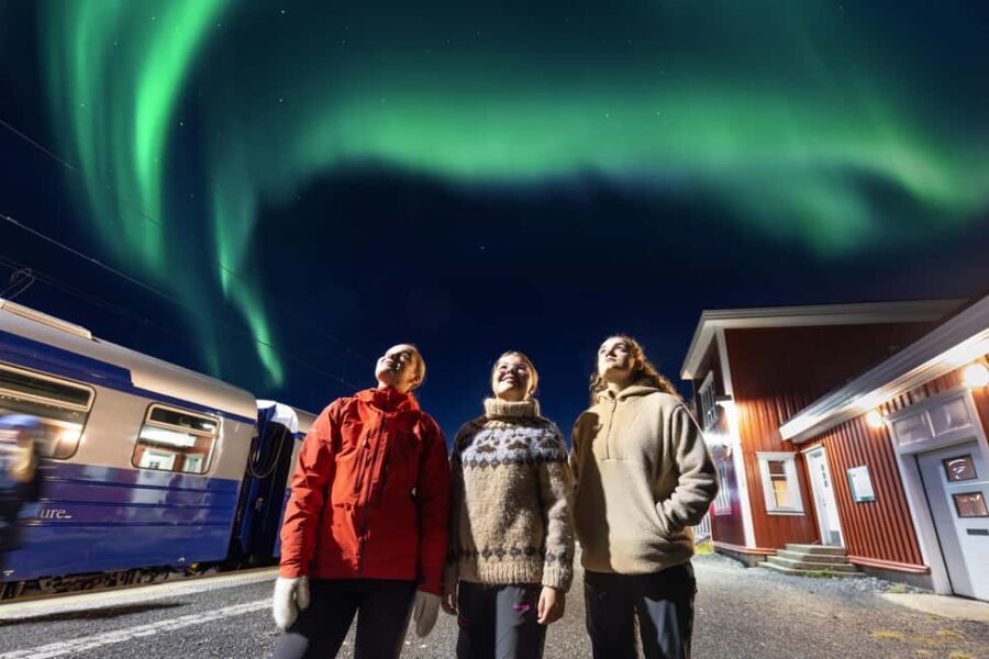 From Narvik: The Northern Lights Arctic Train Guided Tour - Why Katterat (373 Meters Up) Boosts Your Odds