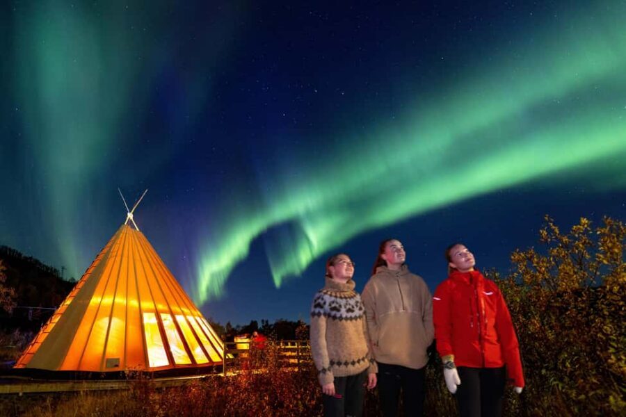 From Narvik: The Northern Lights Arctic Train Guided Tour - Photo Tips That Actually Help (Bring Your Tripod)