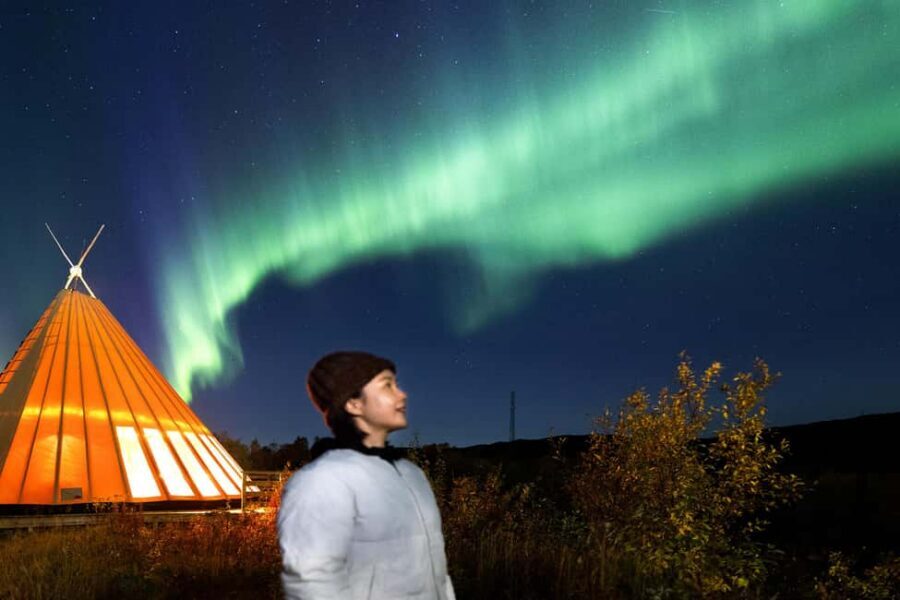 From Narvik: The Northern Lights Arctic Train Guided Tour - Comfort and Group Flow: What to Watch Out For