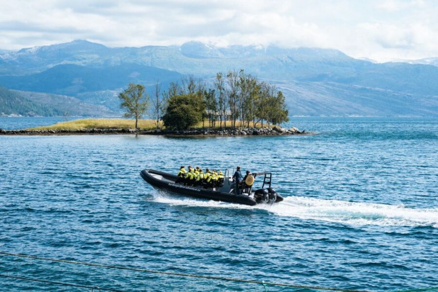 From Norheimsund: Hardangerfjord & Fyksesund RIB Fjord Tour - Spring waterfalls and winter ice: how the fjord changes