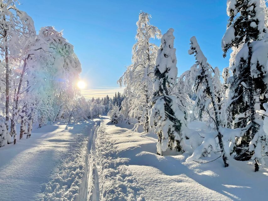 From Oslo: Oslomarka Forest Guided Snowshoeing Tour - Key things to know before you go