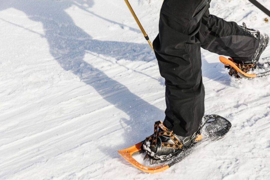From Oslo: Oslomarka Forest Guided Snowshoeing Tour - Stops, stories, and Norwegian winter traditions
