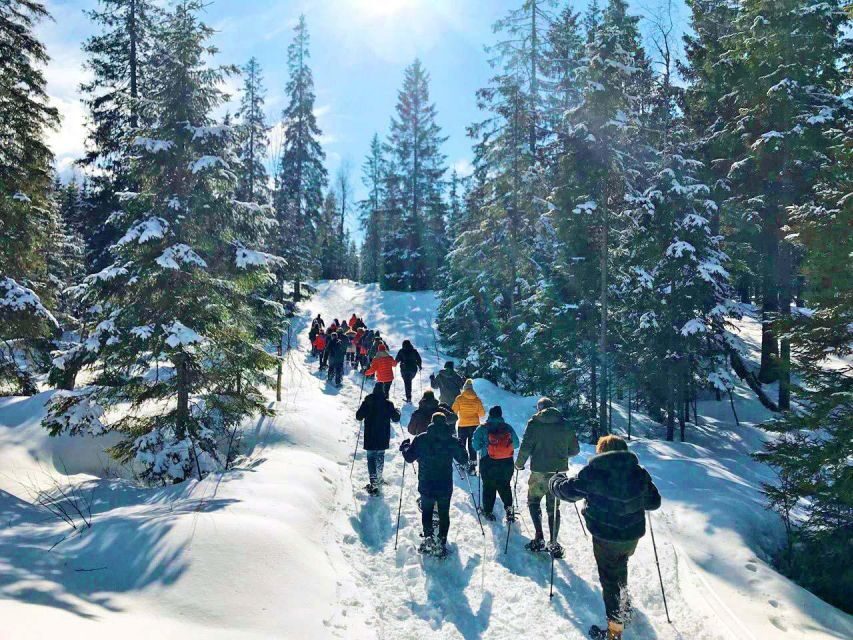 From Oslo: Oslomarka Forest Guided Snowshoeing Tour - Weather and snow reality: what happens if conditions change