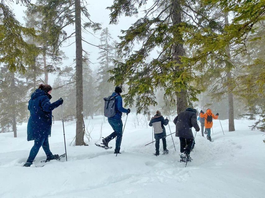 From Oslo: Oslomarka Forest Guided Snowshoeing Tour - Price and value: what $105 buys you in Oslo winter time