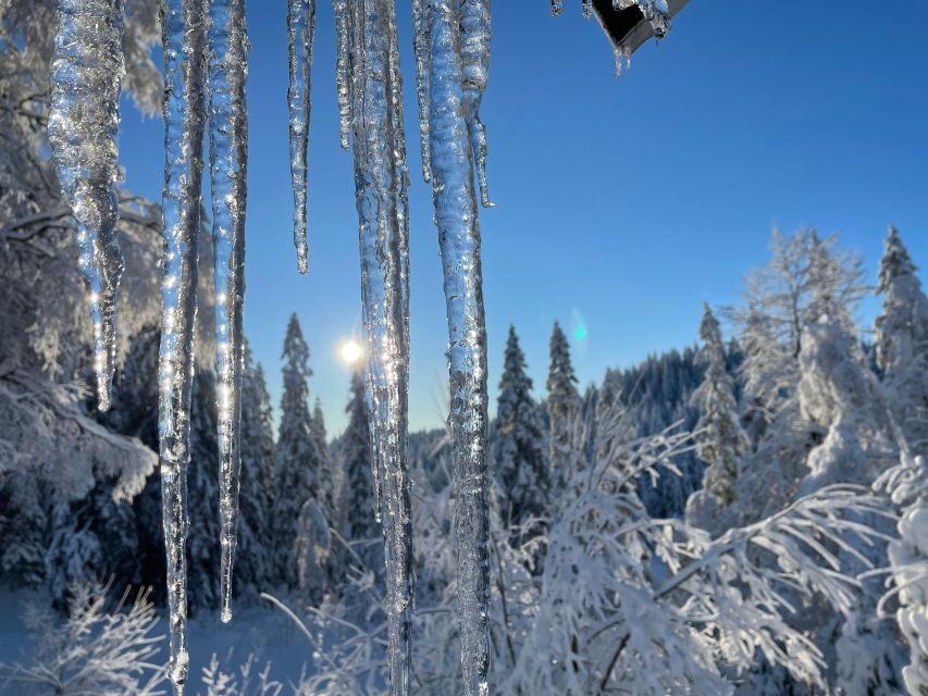 From Oslo: Oslomarka Forest Guided Snowshoeing Tour - Practical tips that make the day feel smooth
