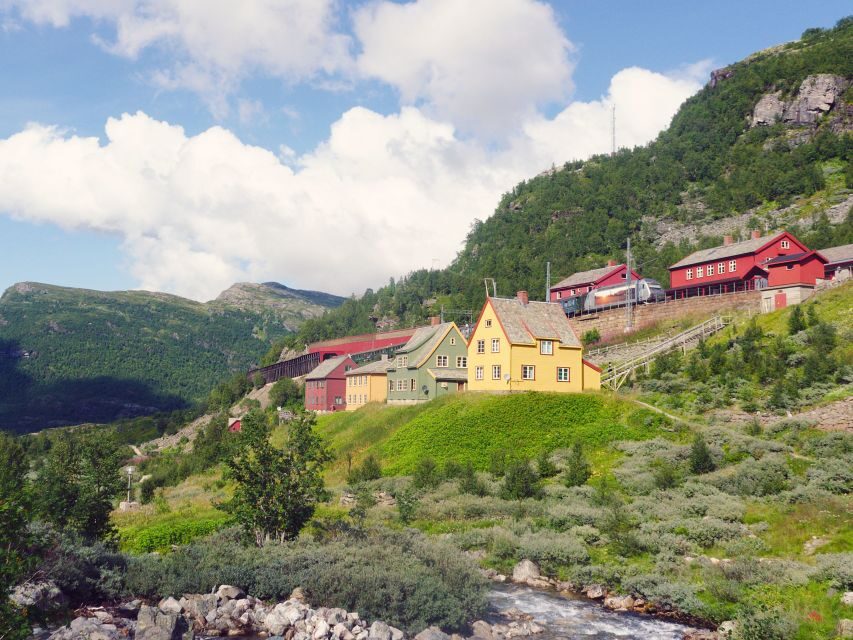 From Oslo: Private Round-Trip Tour to Sognefjord via Flåm - Geilo to Myrdal: a short train leg that sets up Flåm