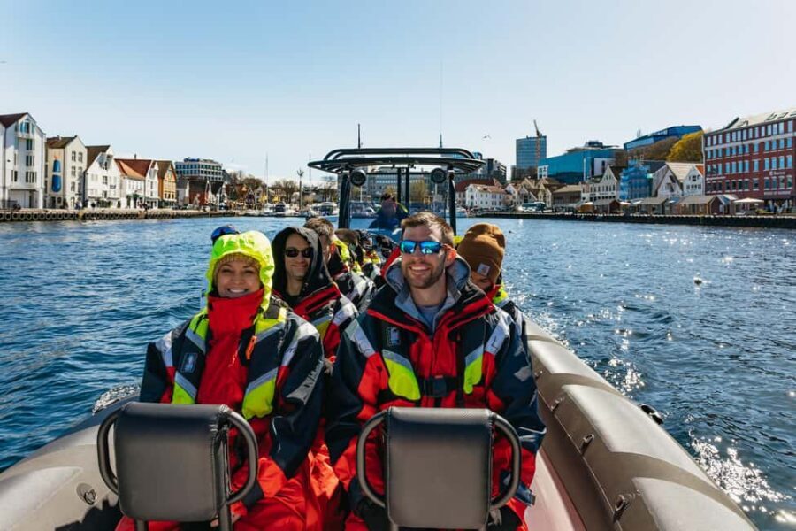 From Stavanger: Lysefjorden & Pulpit Rock RIB Boat Tour - Wildlife spotting: the fjord isn’t empty