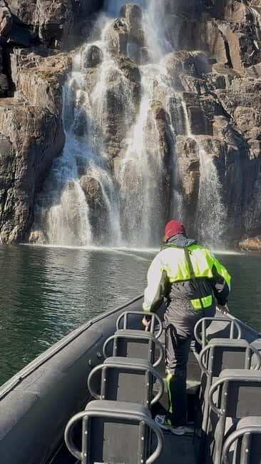 From Stavanger: Lysefjorden & Pulpit Rock Safari by RIB - Goat farm finale: the friendly landing after the speed