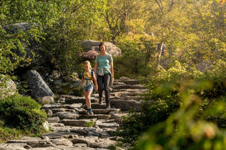 From Stavanger: Pulpit Rock Guided Hike with Pickup - How the small group changes the whole experience