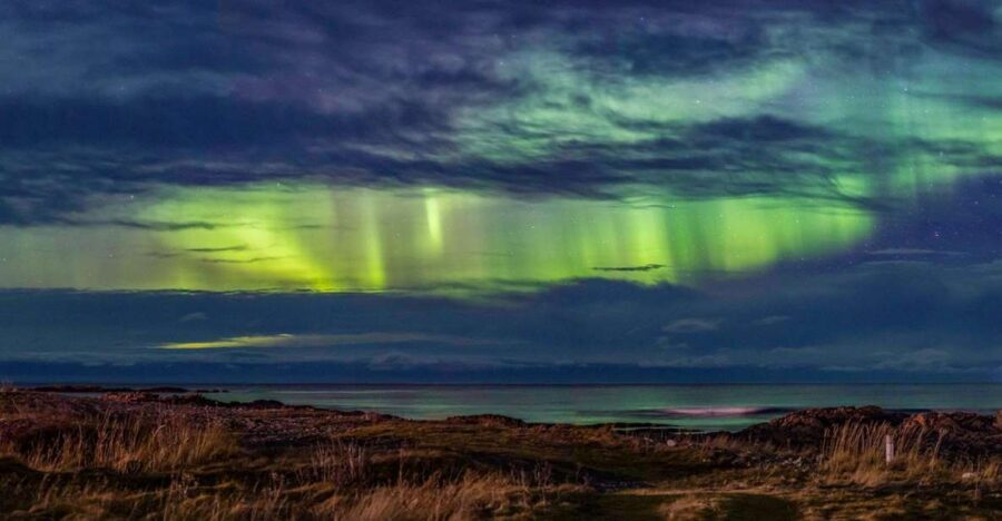 From Svolvær: Guided Northern Lights Tour by Van - Key highlights you’ll actually feel