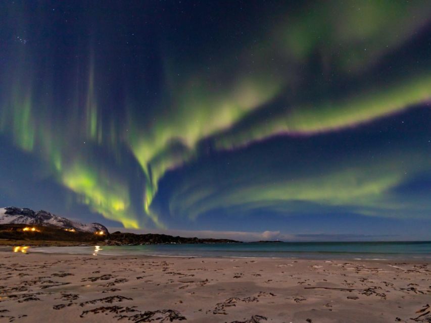 From Svolvær: Guided Northern Lights Tour by Van - Why a guided aurora tour works better than guessing