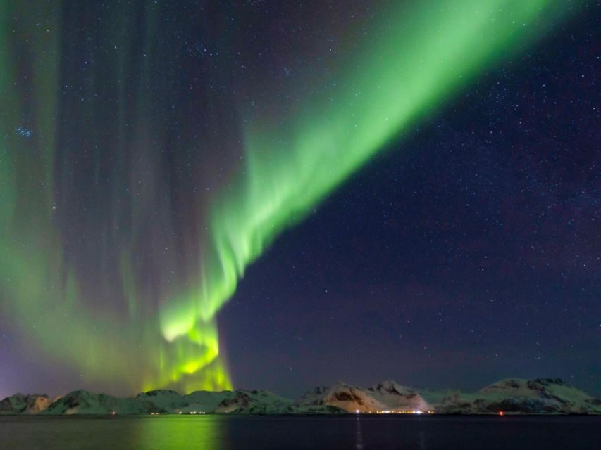 From Svolvær: Guided Northern Lights Tour by Van - The guide’s real superpower: changing locations fast