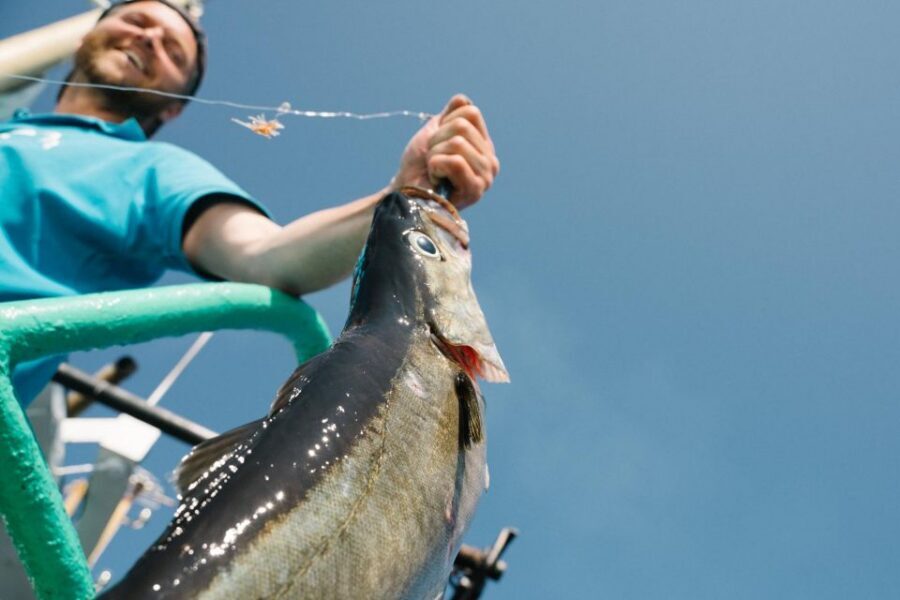 From Svolvaer: Lofoten Fishing Boat Cruise - Key highlights you’ll care about