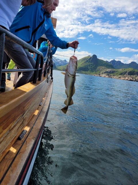 From Svolvaer: Lofoten Fishing Boat Cruise - Svolvær to the Lofoten Sea: Why this cruise feels real
