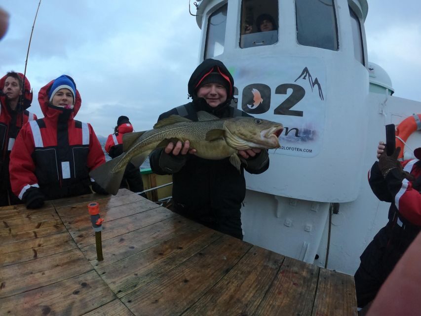 From Svolvaer: Lofoten Fishing Boat Cruise - Price and value: is $135 for 4 hours worth it?