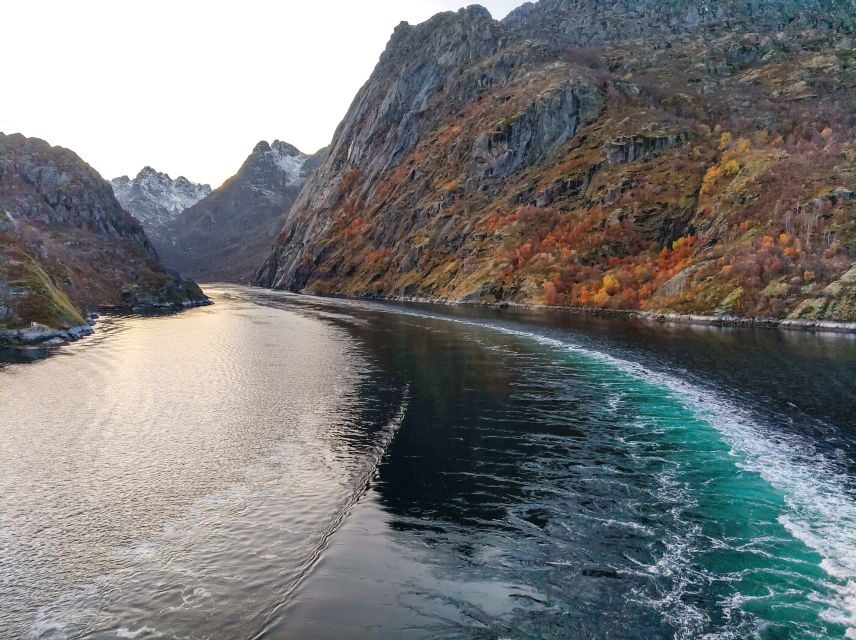 From Svolvær: Lofoten Islands Silent Trollfjord Cruise - Your route’s structure: what each stop is for