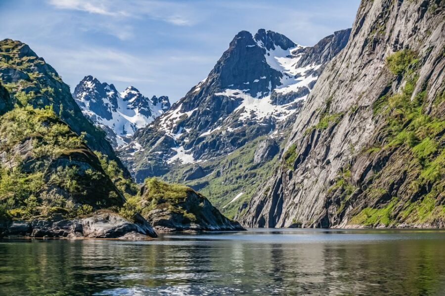 From Svolvær: Lofoten Islands Silent Trollfjord Cruise - The eagle search: how to get the most out of it