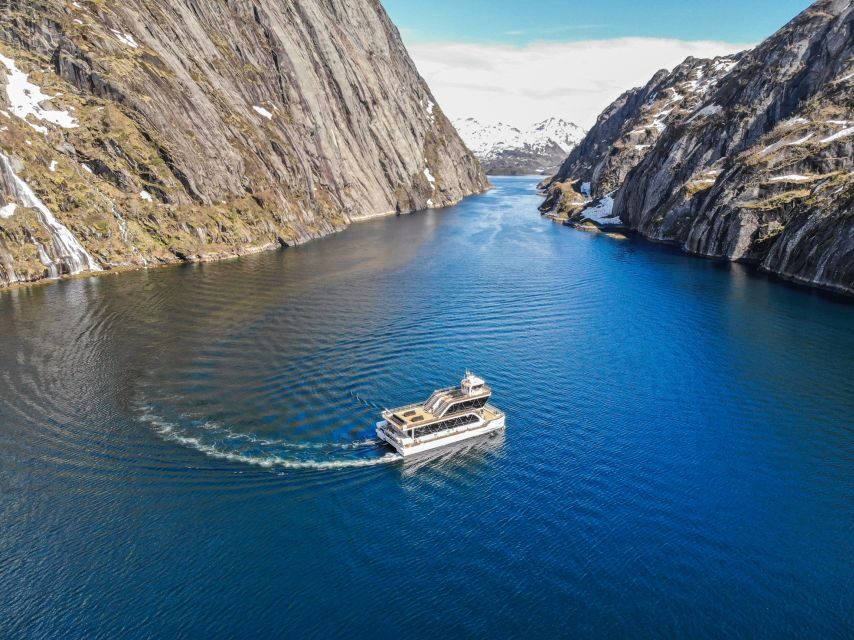 From Svolvær: Lofoten Islands Silent Trollfjord Cruise - Value for money: is $140 worth it?