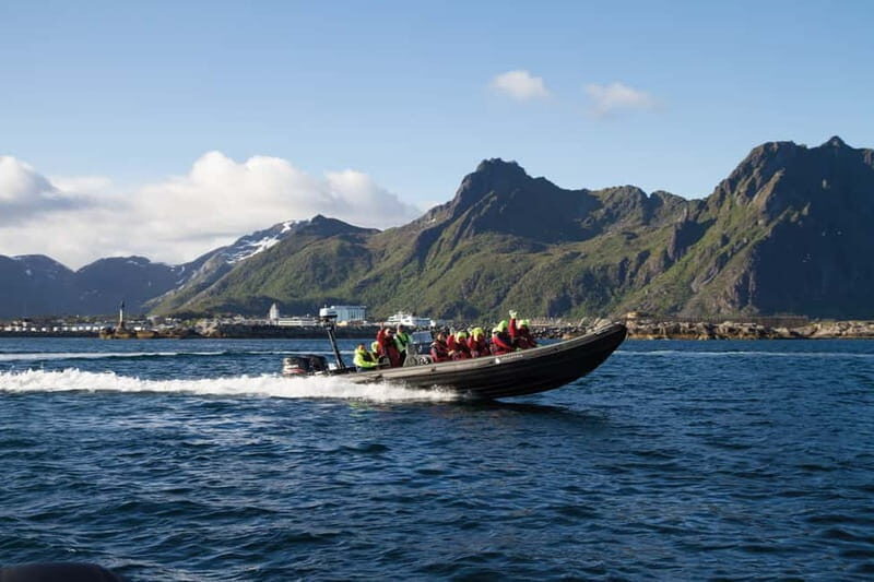 From Svolvær: Lofoten RIB Sea Eagle Safari Trollfjord Cruise - Key Things I’d Plan Around on This Sea Eagle Safari